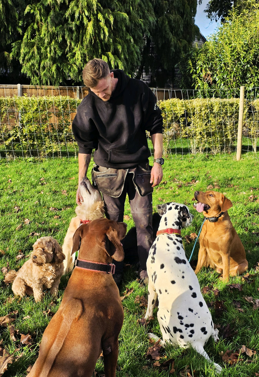 Josh with a pack of dogs